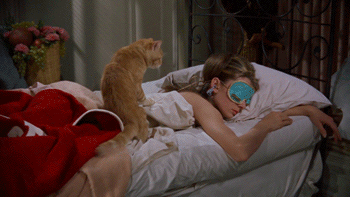77823-Audrey-Hepburn-cat-wake-up-gif-LiRj